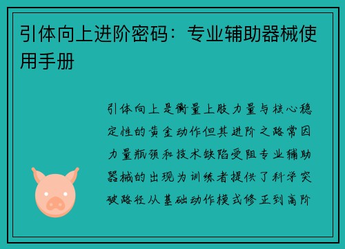 引体向上进阶密码：专业辅助器械使用手册